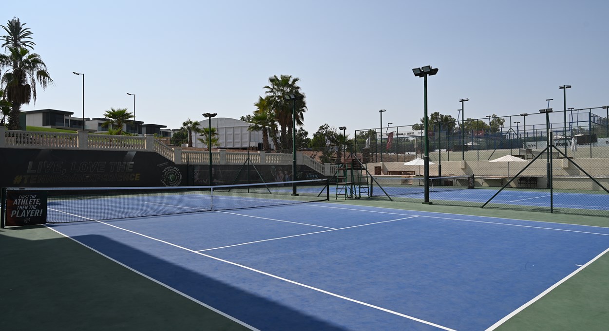 DSC 6041