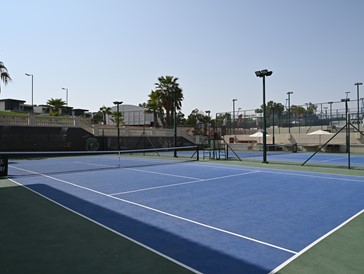 DSC 6041