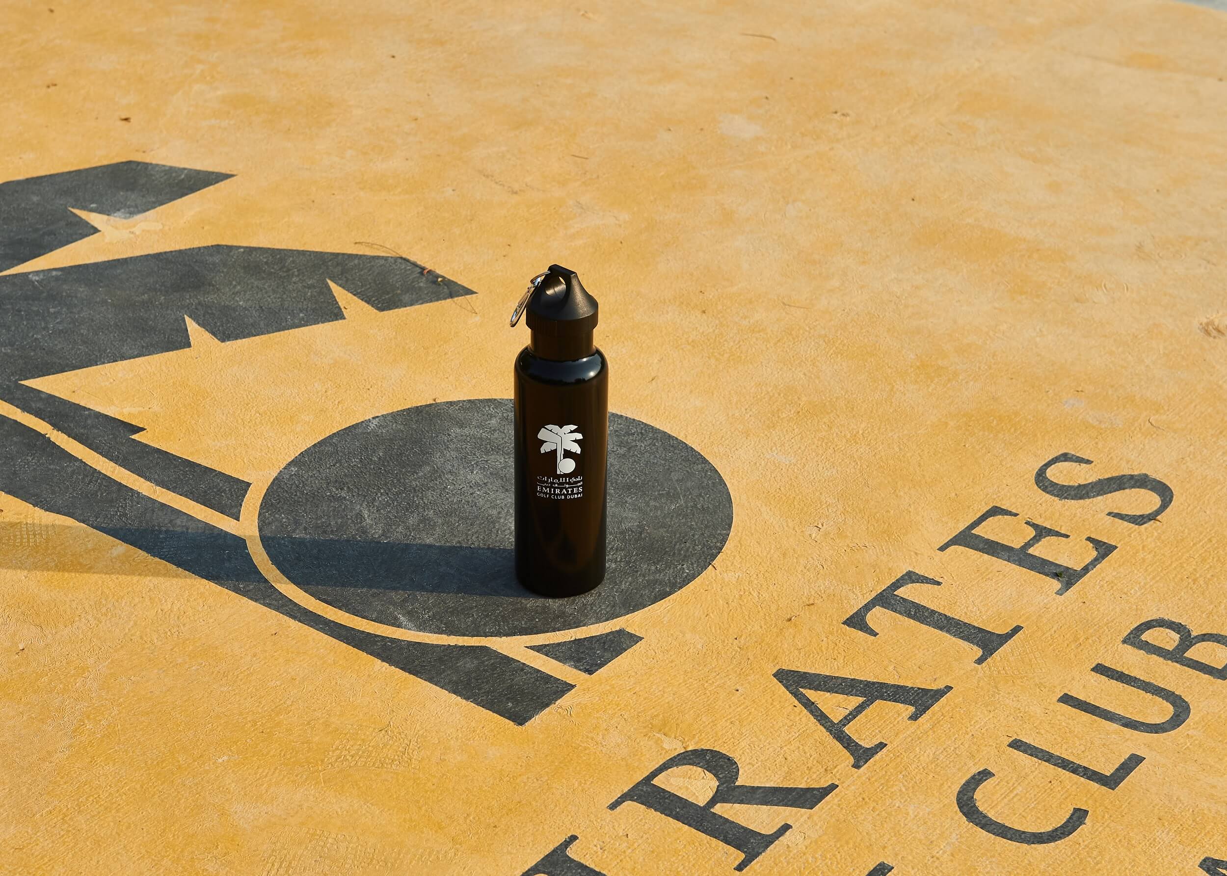 C55dc31f 9B80 413A Bbee Dfa6ed3f6737